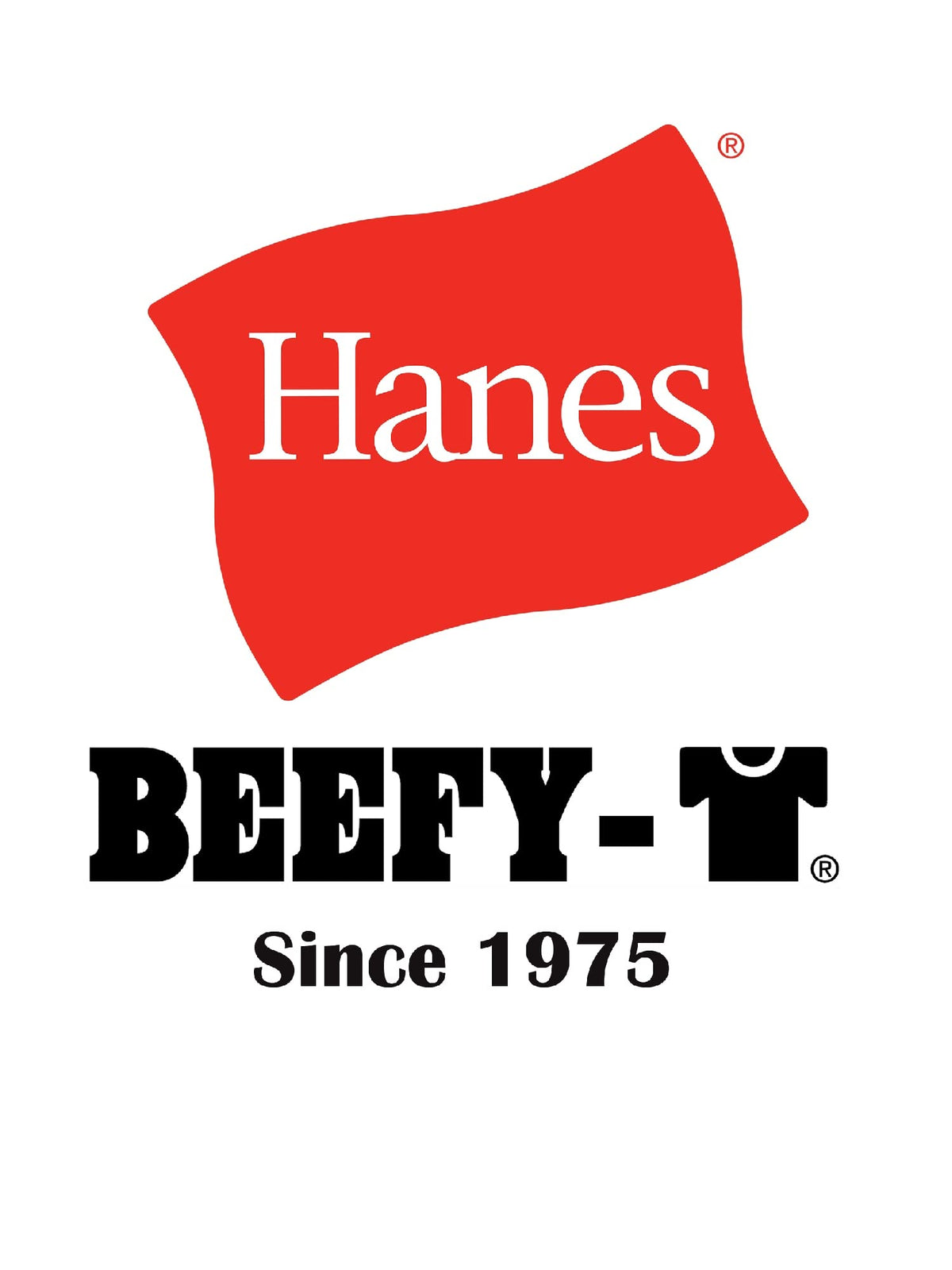 Hanes Men's Beefy-T T-Shirt, Heavyweight Cotton T-Shirts for Men, 1 or 2 Pack, Men's Tees (Tall