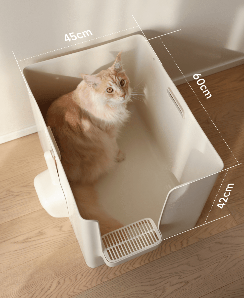 Extra Large Semi-Enclosed Cat Litter Box with Step & Scoop Set