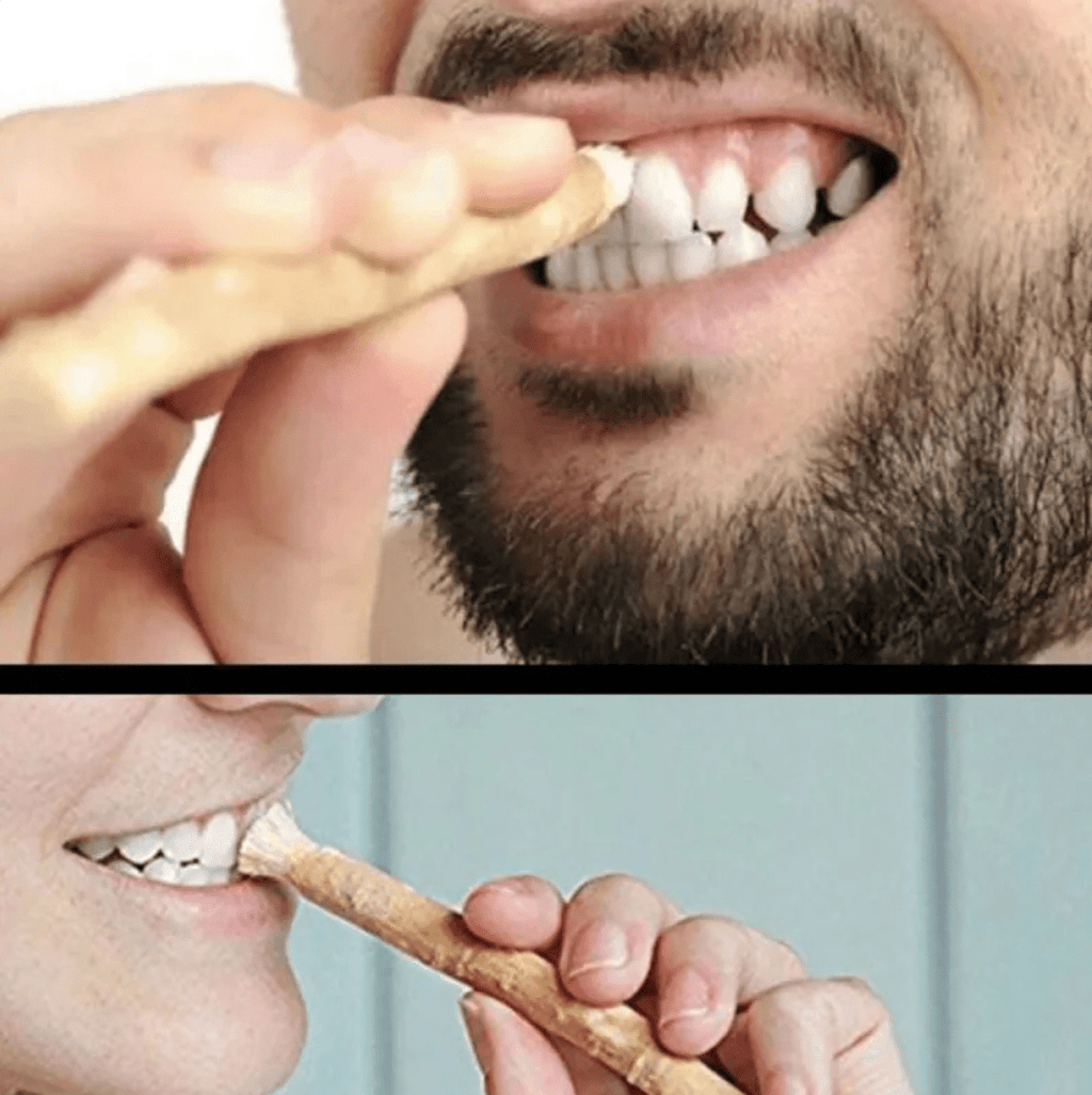 Miswak Tooth Cleaning Stick