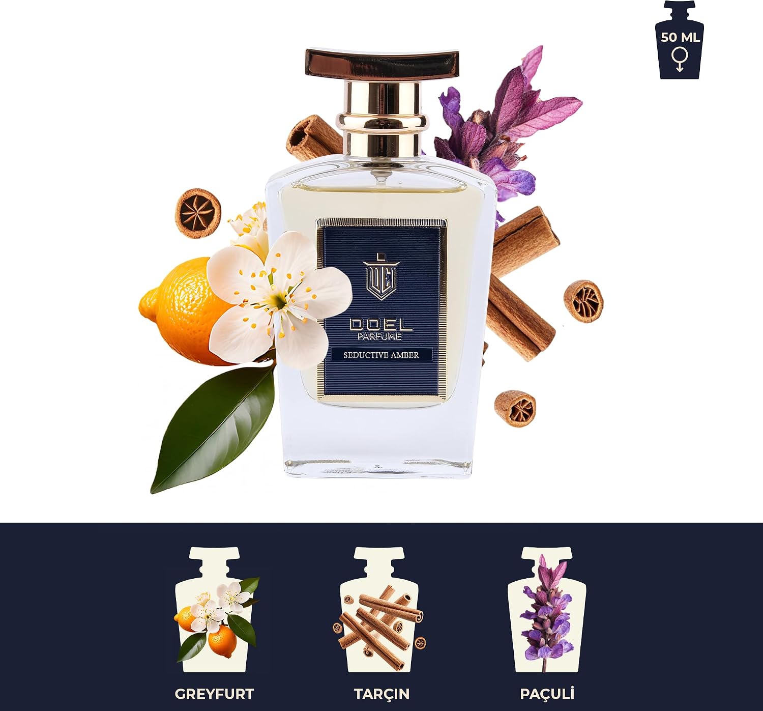 Monsieur Erkek EDP Parfüm 50 ml – Armut, Kakule, Ananas, Lavanta, İris, Deri, Paçuli