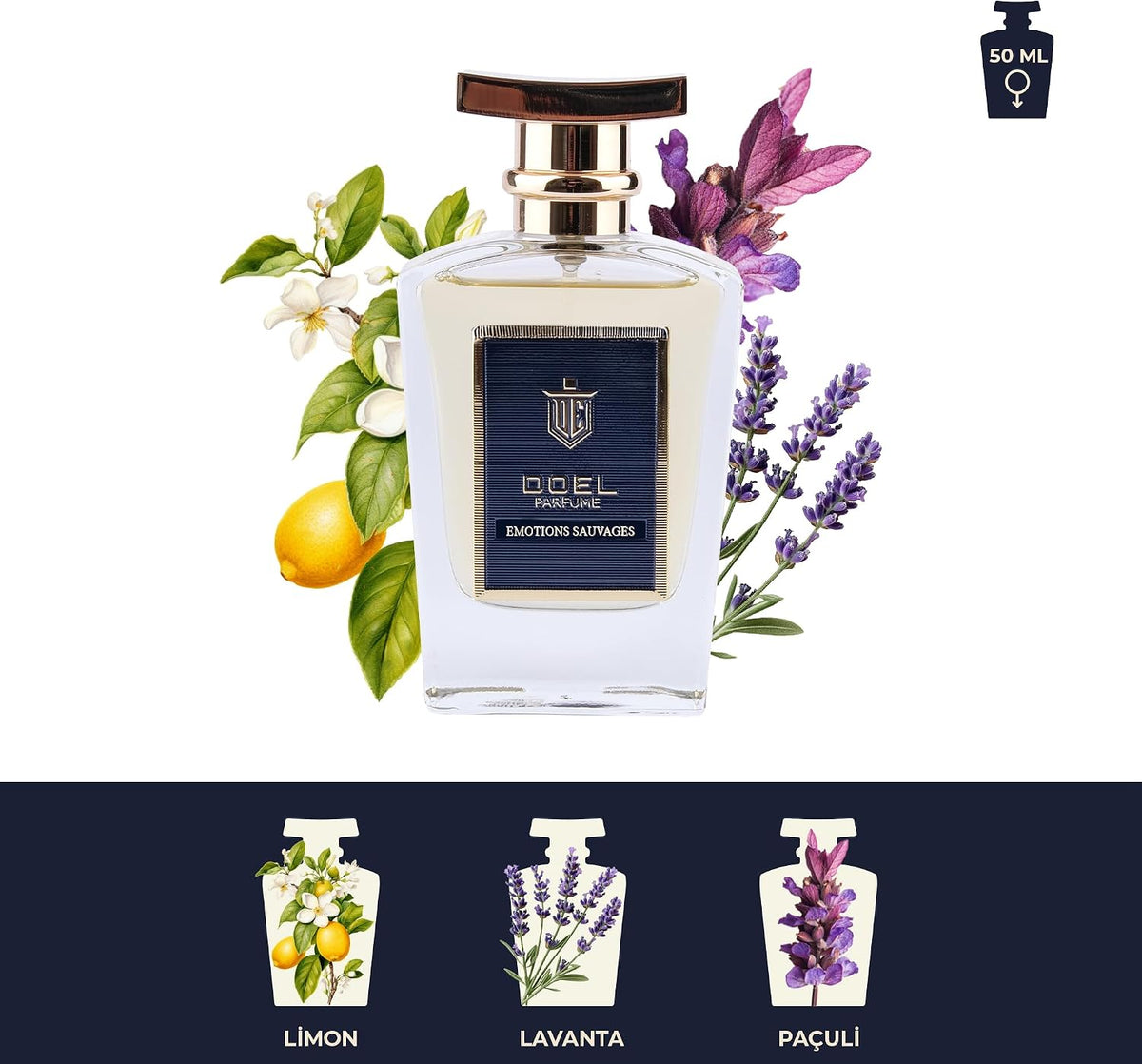 Monsieur Erkek EDP Parfüm 50 ml – Armut, Kakule, Ananas, Lavanta, İris, Deri, Paçuli