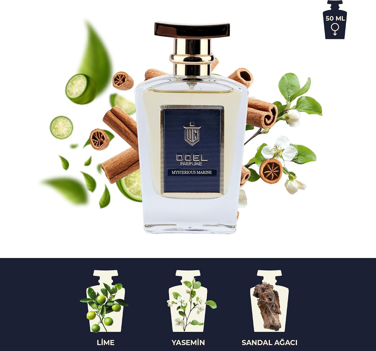 Monsieur Erkek EDP Parfüm 50 ml – Armut, Kakule, Ananas, Lavanta, İris, Deri, Paçuli