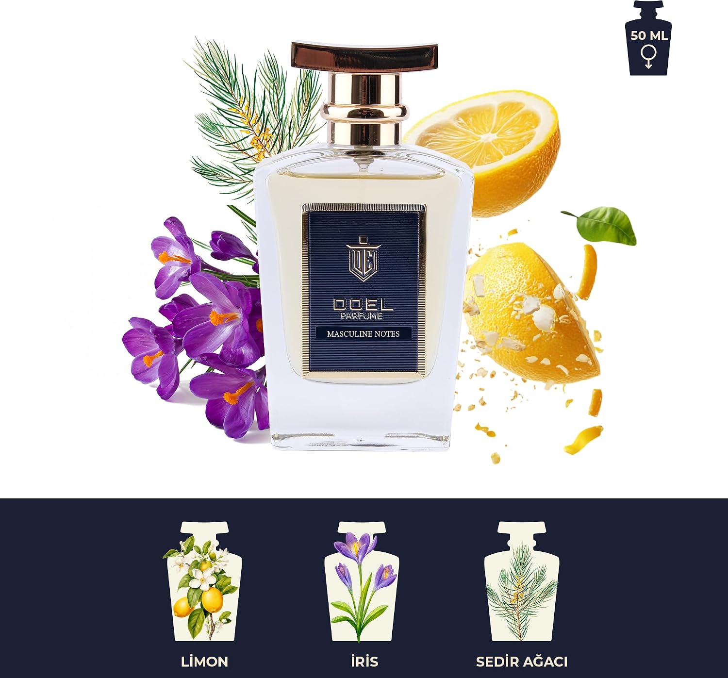 Monsieur Erkek EDP Parfüm 50 ml – Armut, Kakule, Ananas, Lavanta, İris, Deri, Paçuli